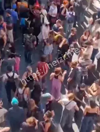 反马克龙游行